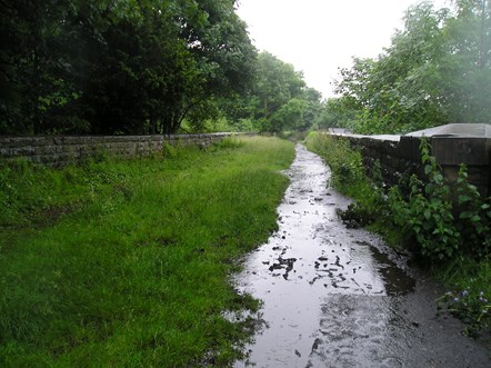 Helmshore Viaduct Muddy Path