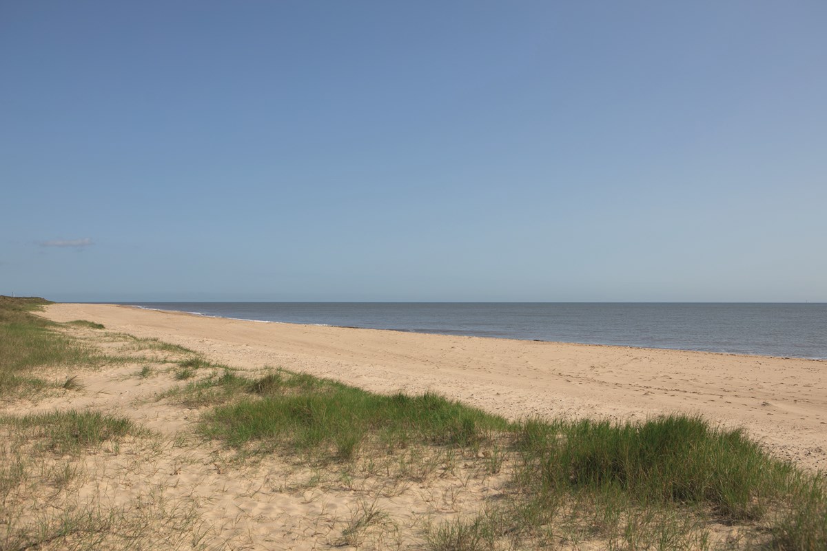 Beach view at Seashore