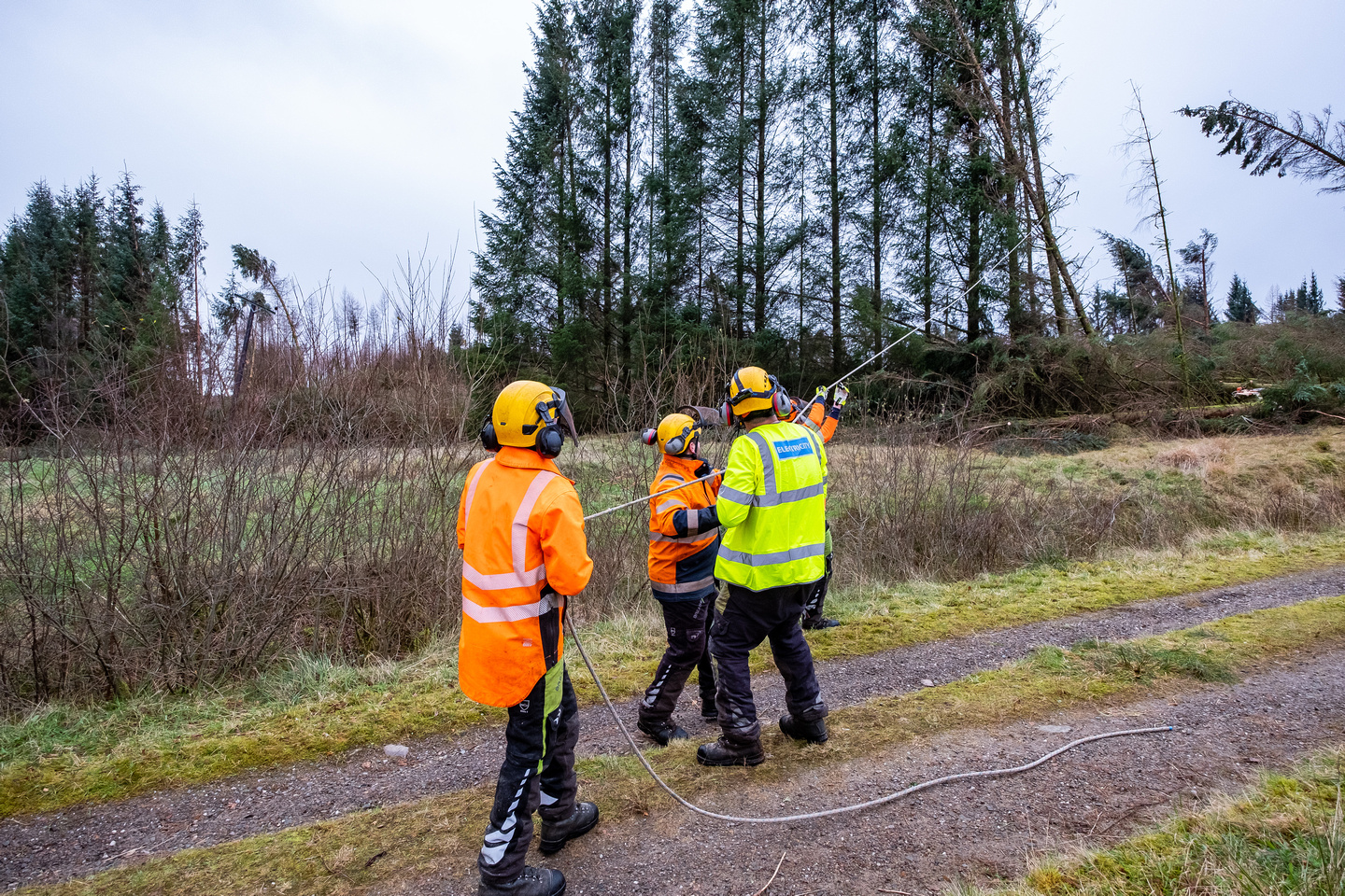 97% of homes reconnected following Storm Arwen – Energy Networks ...