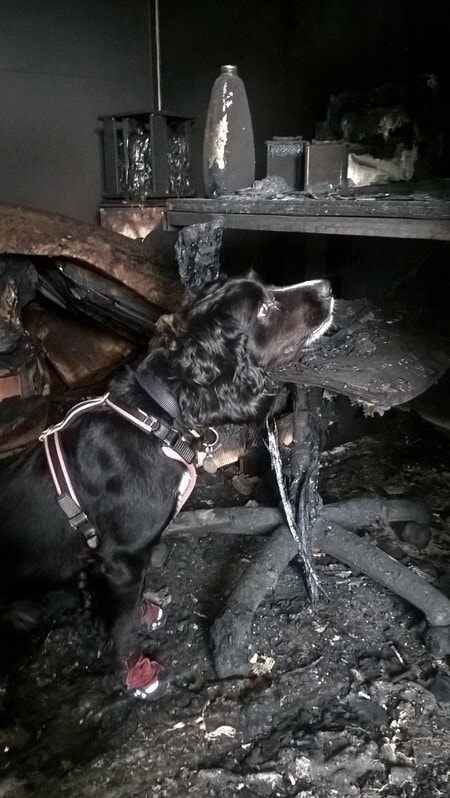 Sherlock at scene of fire