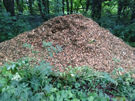 Fly tip - Nothleach