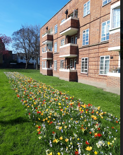 160 m2 of Bee Surprise Mix, consisting of Tulips, Crocus, Chionodoxa, Scilla and Muscari. This mix should flower from February until May Bee Surprise Mix Frampton park Estate
