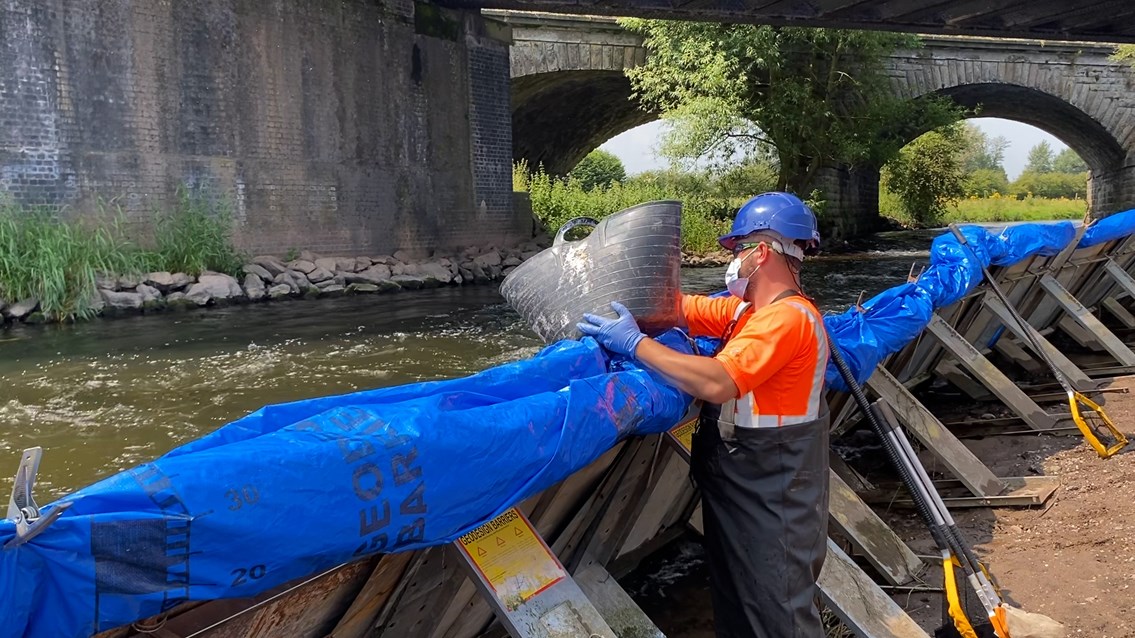 Fish being released back into the River Trent