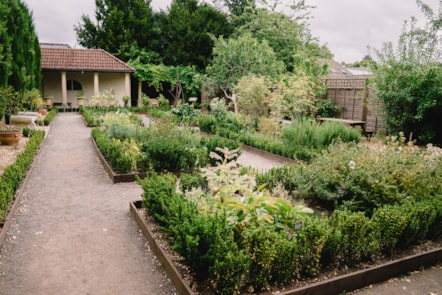 The garden at the National Roman Legion Museum in Caerleon.