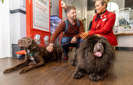 LNER Pet Champion with customer and dogs at York Station Travel Centre