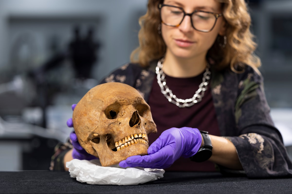 Dr Jess Thompson examines the skull of a man from Roman Scotland. Photo © Duncan McGlynn (1)