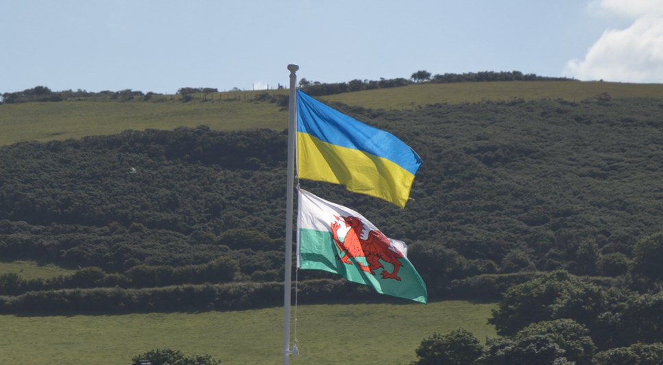 Wales and Ukraine flags-6