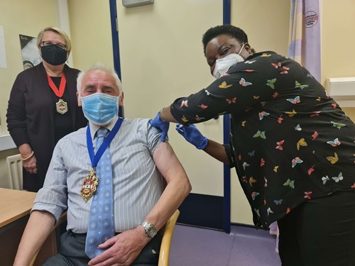 mayorflujab