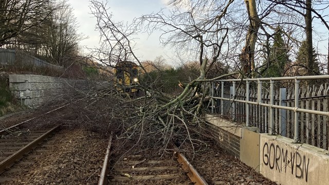 Storm Isha means early end to rail services across most of Scotland on Sunday: trees on line-2