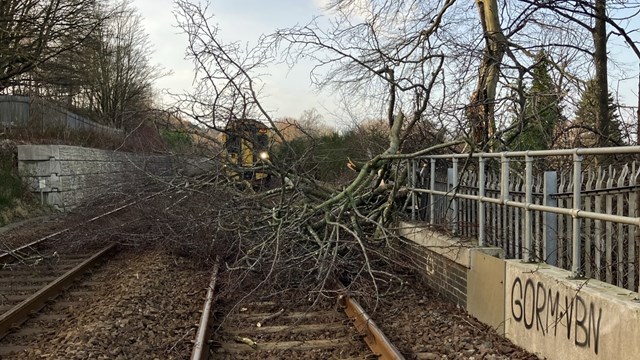 trees on line-2: trees on line-2