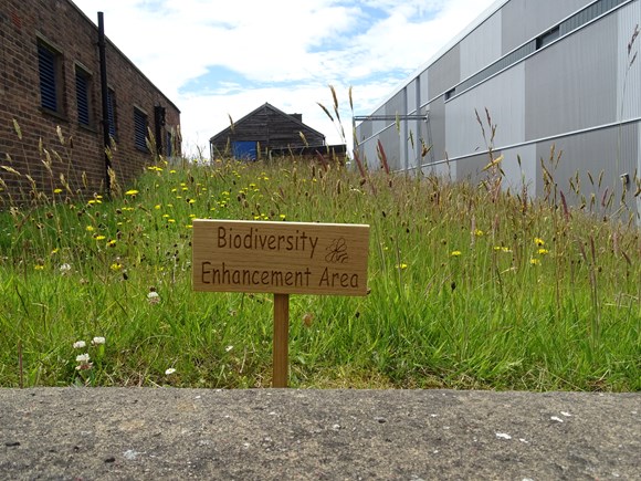 LATEST NEWS: New approach to greenspace management in the Capital leads to butterfly havens: Signage at National Museums Collections Centre , Ashleigh Whiffin