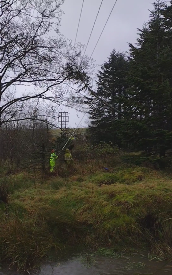 Engineers remove tree from overhead line