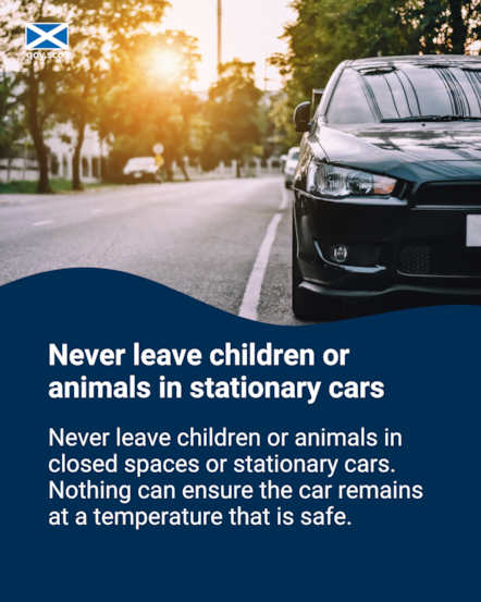 Car - Portrait - Hot Weather - SG Resilience - June 2025