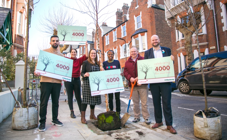 4000_Trees_Rowhill_Rd_4000th_Tree_Rowhill_Rd_031A0375
