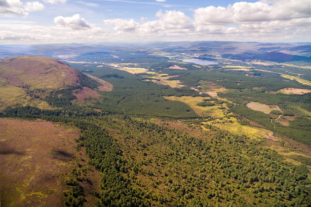 Woodland regeneration increases by 25% at Highlands National Nature Reserve: Tree regeneration in the survey area ©scotlandbigpicture.com