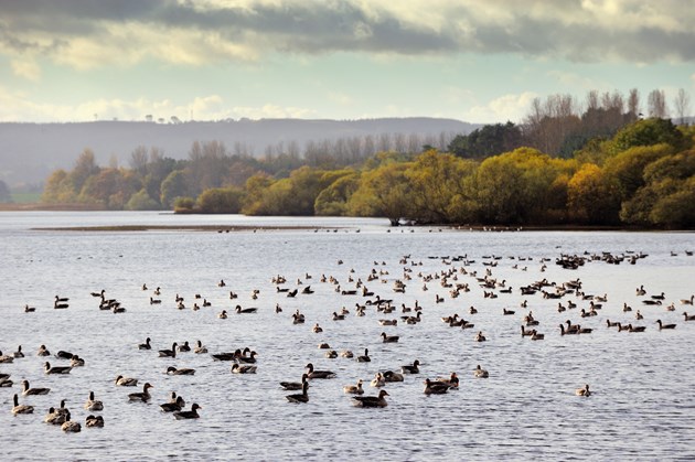 Loch Leven-D9585 - Credit SNH-Lorne Gill