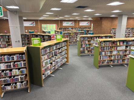 Elgin Library 3