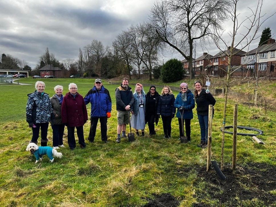 jubilee trees