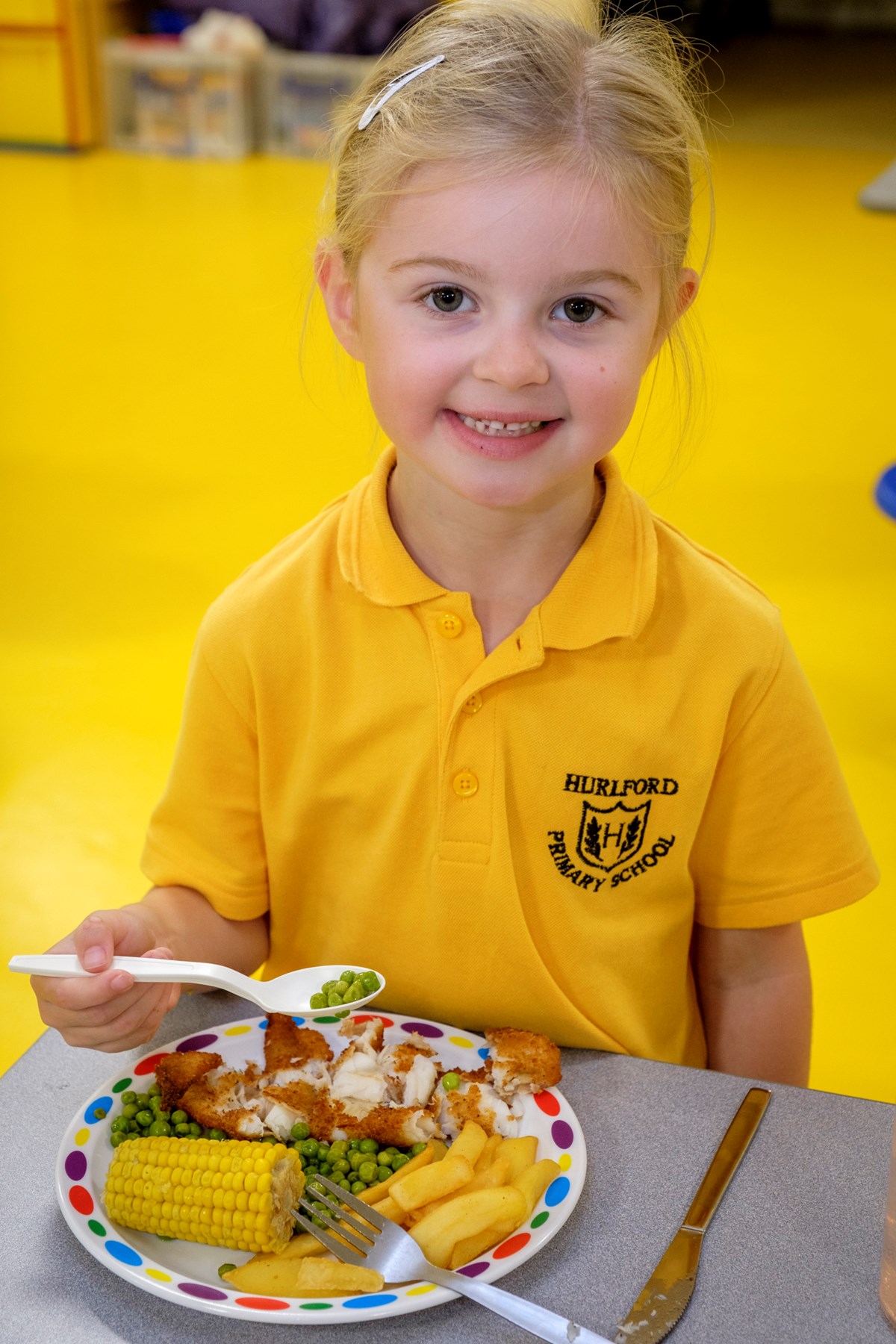 Hurlford Primary school meals