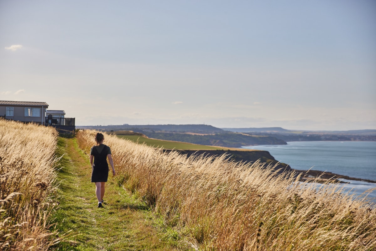 Blue Dolphin clifftop walk