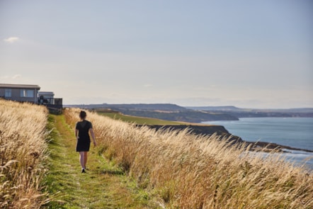 Blue Dolphin clifftop walk