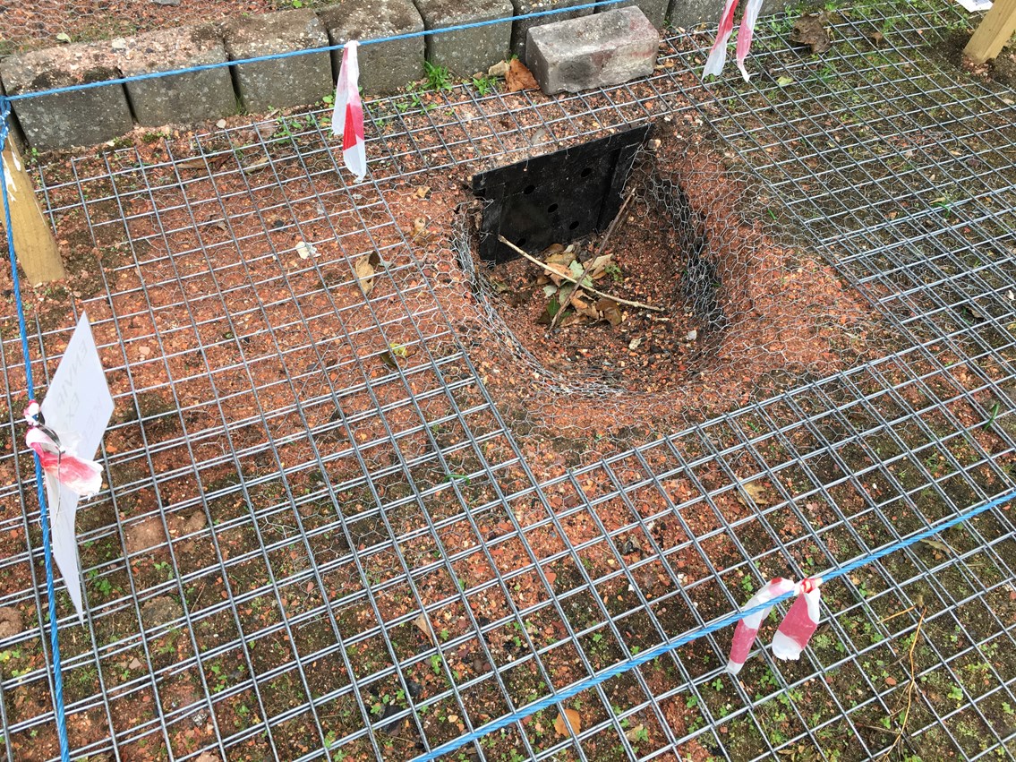 Badger sett on platform