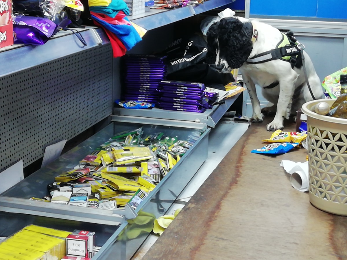 The illegal tobacco find