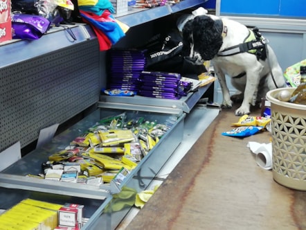 The illegal tobacco find