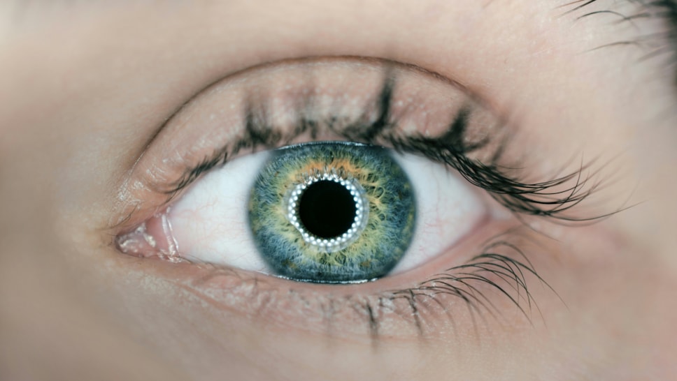eye