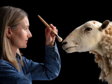 Curator Zena Timmons prepares Morag for display. Photo © National Museums Scotland (4)