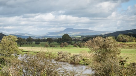 Lancashire will benefit from the Local Nature Recovery Strategy