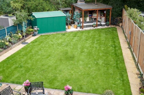 Johnsons Lawn Seed's Guide to Lawn Care this spring