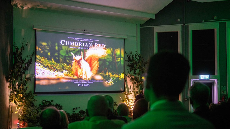 Projector screen showing an image of a red squirrel with the words Cumbrian Red: Saving our red squirrels above it and wording below