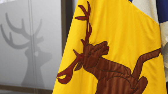 Councillors provide grants to local good causes: HCC Flag 2025 1200x675