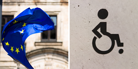 EU disability