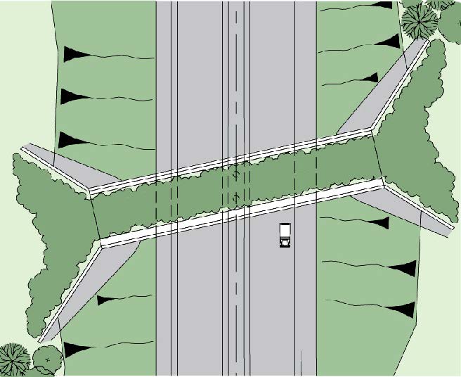 Aberdeen Bypass To Provide Safe Wildlife Travel | Transport Scotland