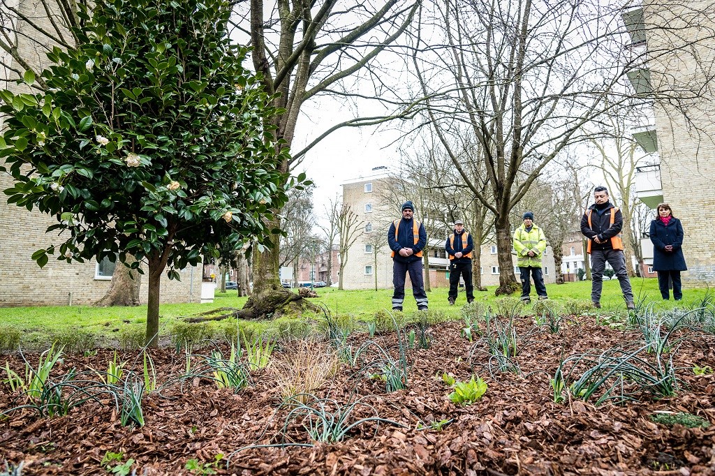 Islington Council staff stand next to a camellia bush in Highbury Quadrant