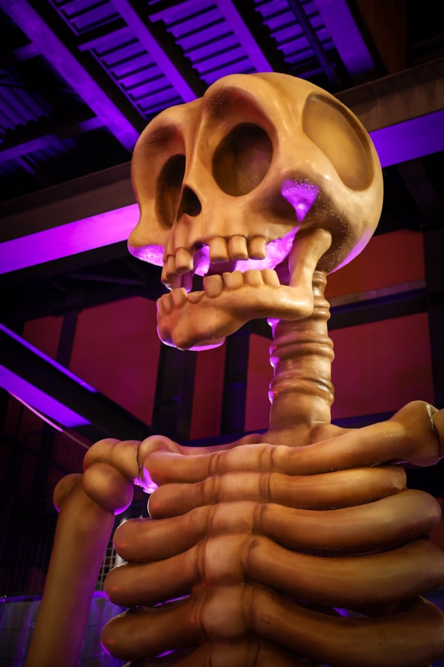HALLOWEEN PARK 1