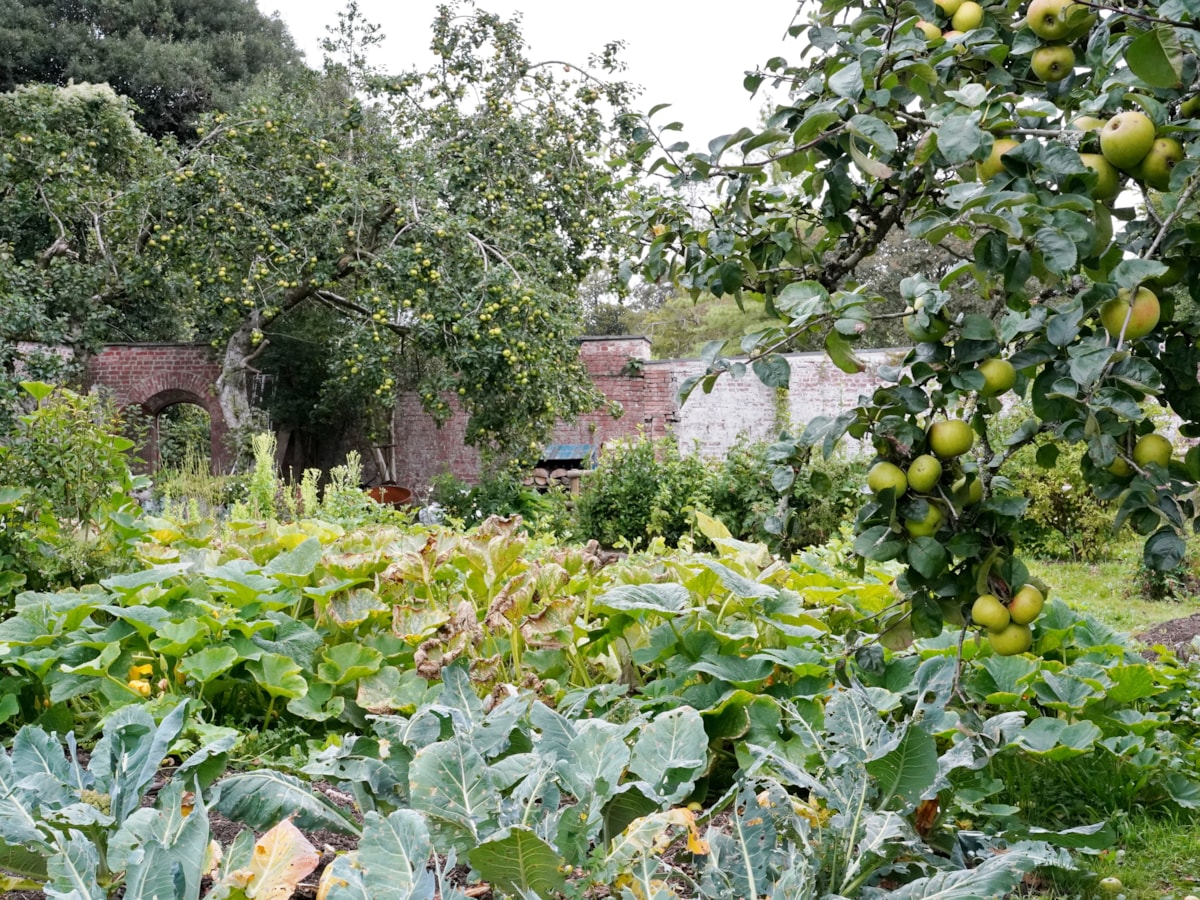 Walled garden main entrance