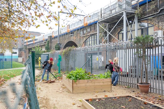 Castlehaven Park November 2019: Castlehaven Park, horticulture hub, HS2 Community Environment Fund, HS2 Business and Local Economy Fund, CEF, BLEF, community engagement, Camden, London, Groundwork