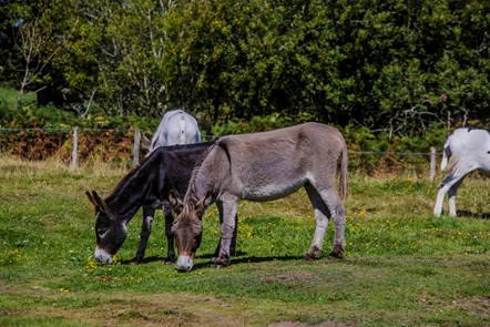£15m extra funding for nature-4