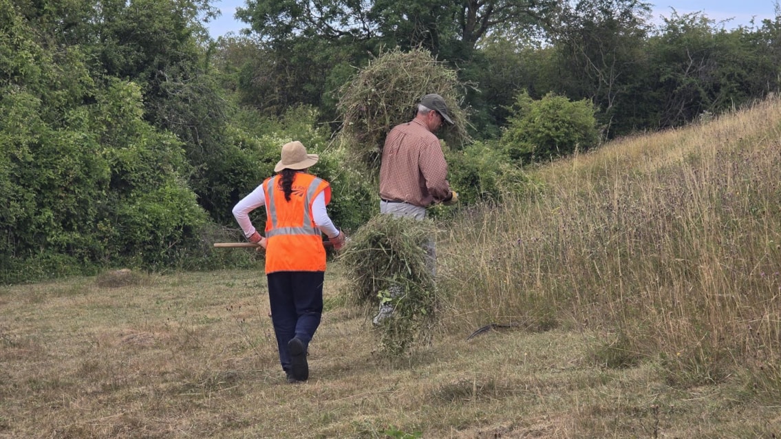 Volunteers laying green hay at Harbury