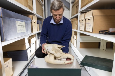 Natural Sciences at the National Museums Collection Centre © Duncan McGlynn-11