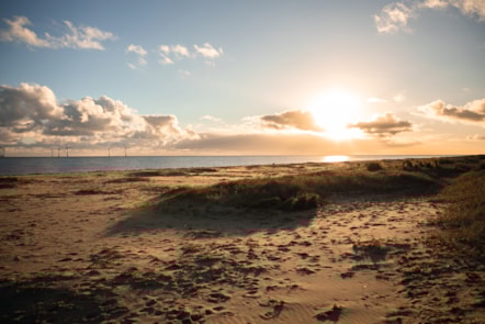 Seashore beach at sunset