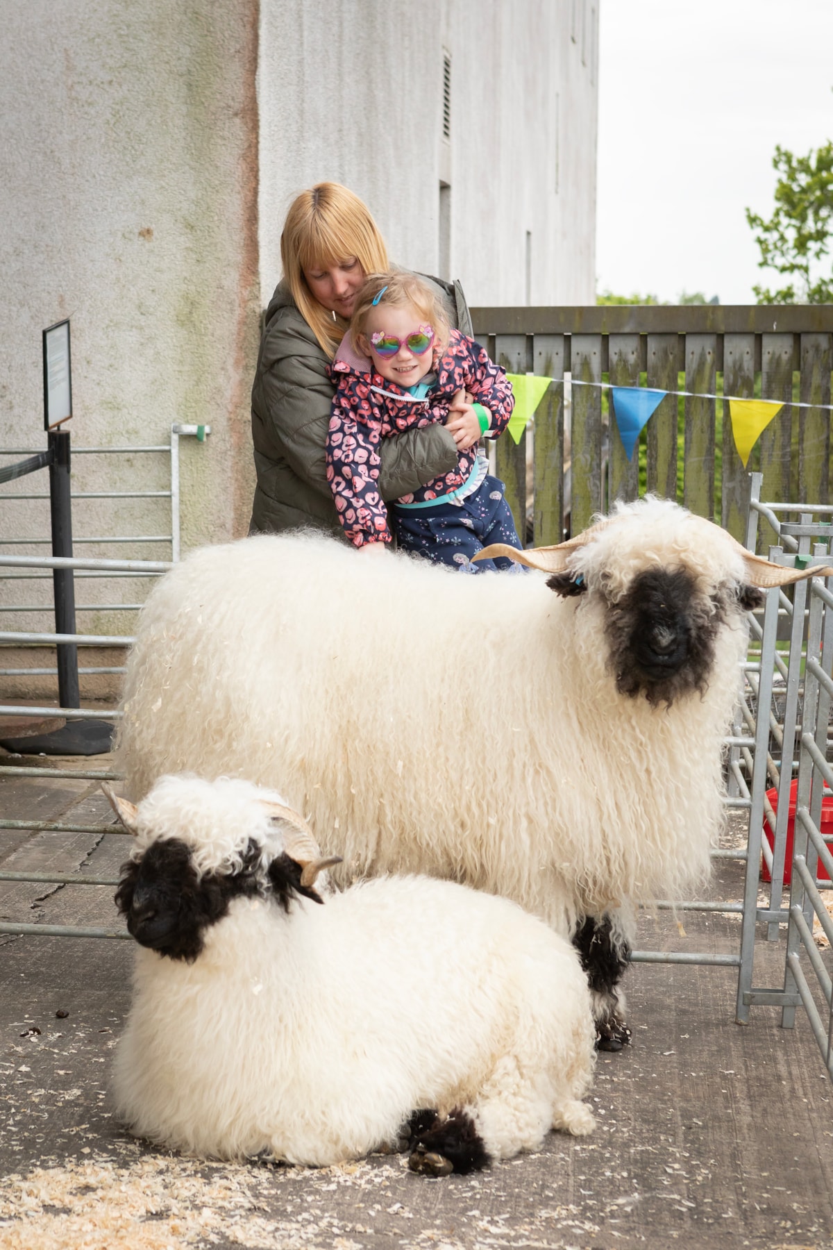 Woolly Weekend at the National Museum of Rural Life. Photo © Ruth Armstrong (2)