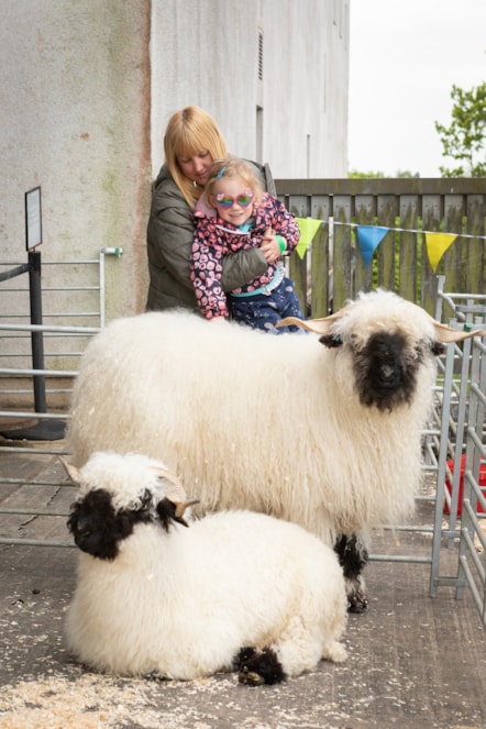 Woolly Weekend at the National Museum of Rural Life. Photo © Ruth Armstrong (2)