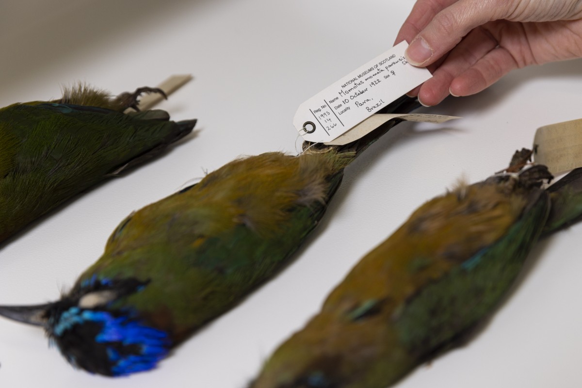 Natural Sciences at the National Museums Collection Centre © Duncan McGlynn-12