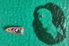 Seagrass fairy circle screenshot A ©NatureScot-Chris Nall: Seagrass fairy circle screenshot A ©NatureScot-Chris Nall