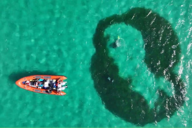 Seagrass fairy circle screenshot A ©NatureScot-Chris Nall
