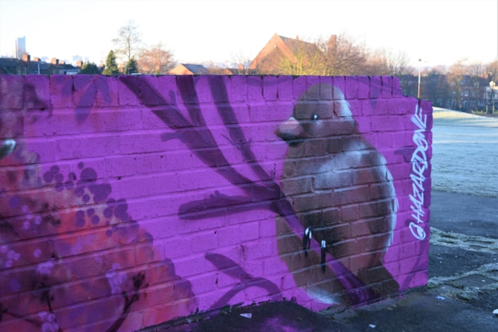 Mural at Banstead Park: Local school girls have worked with Leeds charity Getaway Girls to come up with ideas for the mural.